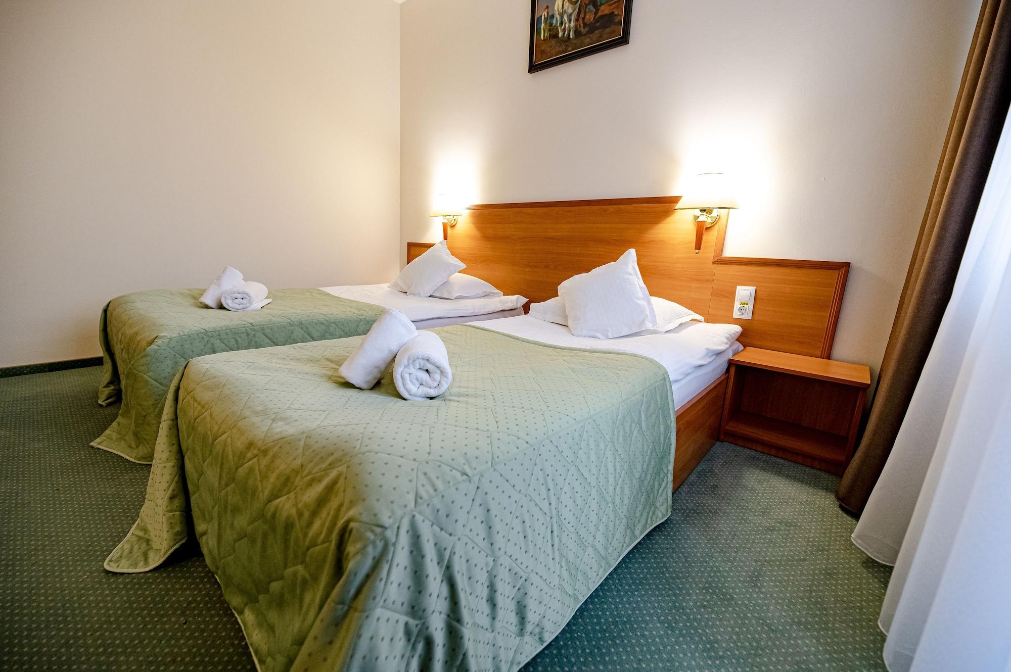 Hotel Rivulus Baia Mare Luaran gambar