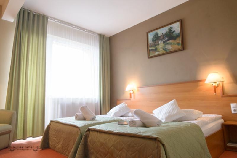 Hotel Rivulus Baia Mare Luaran gambar